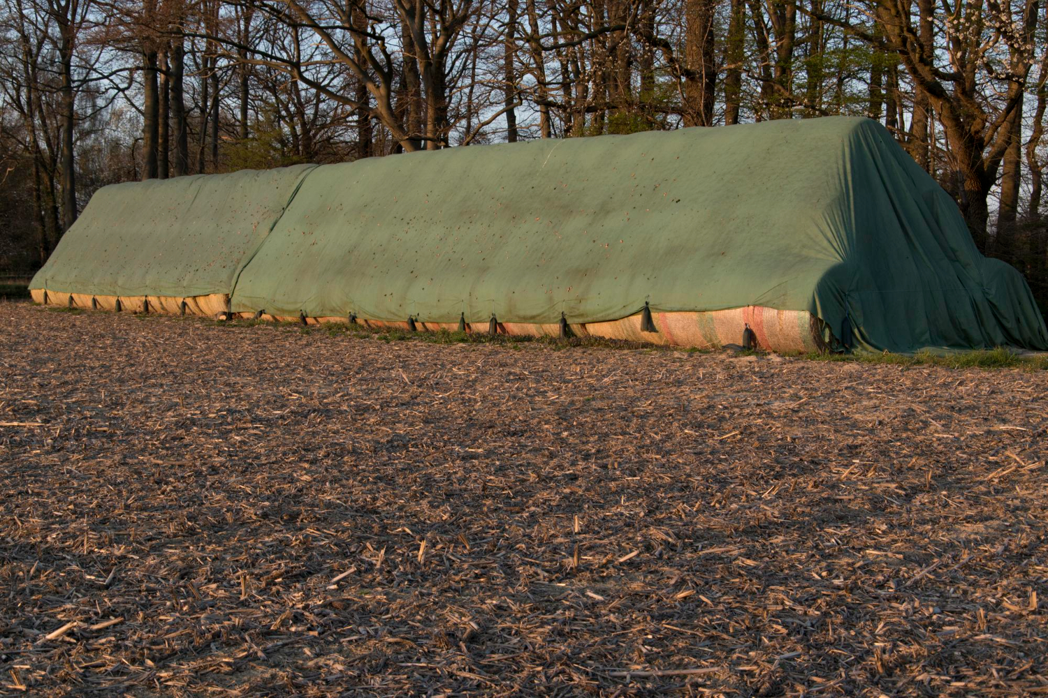 Сравнение непромокаемых укрывных материалов